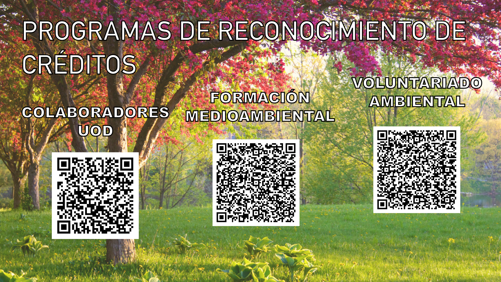 Programa de Reconocimiento de Créditos